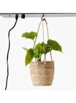 Blitzangebot ❤️ Decken- & Hängeleuchten Brilliant Pendelleuchte, 3-flammig Bankwood 106,5x50x16 Cm In Schwarz Stahl/holz Günstig Kaufen 😀 -brilliant Verkäufe brilliant pendelleuchte 3 flammig bankwood 106 5x50x16 cm in schwarz stahl holz 5